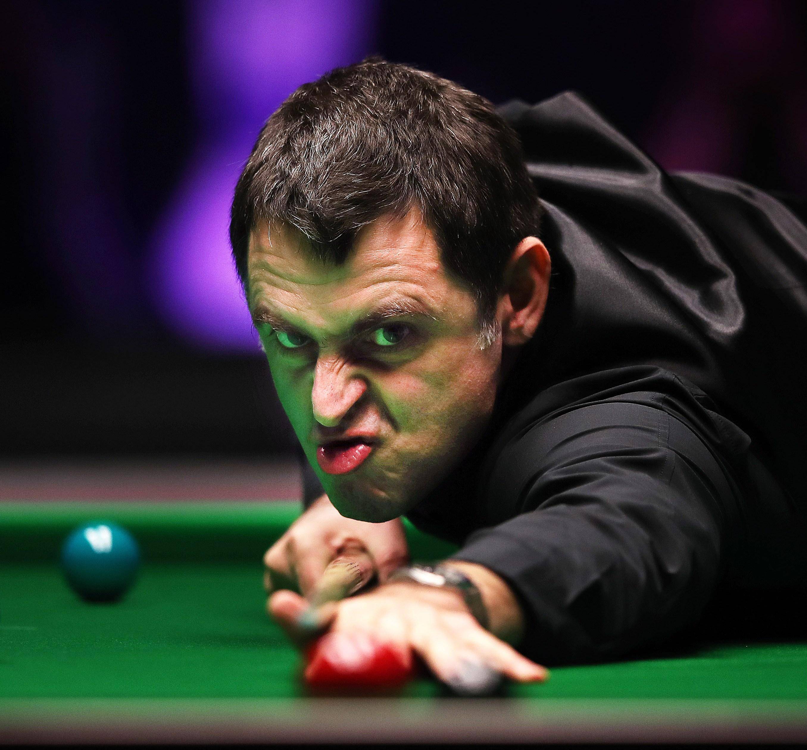 5分钟贡献 5分钟贡献